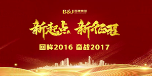 JIUYOU.COM九游娱乐(中国)科技公司2016文化回顾片
