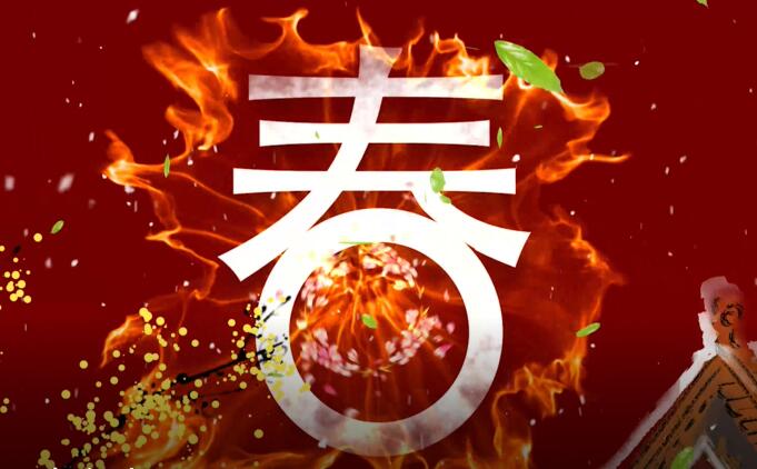 2019JIUYOU.COM九游娱乐(中国)科技公司拜年视频